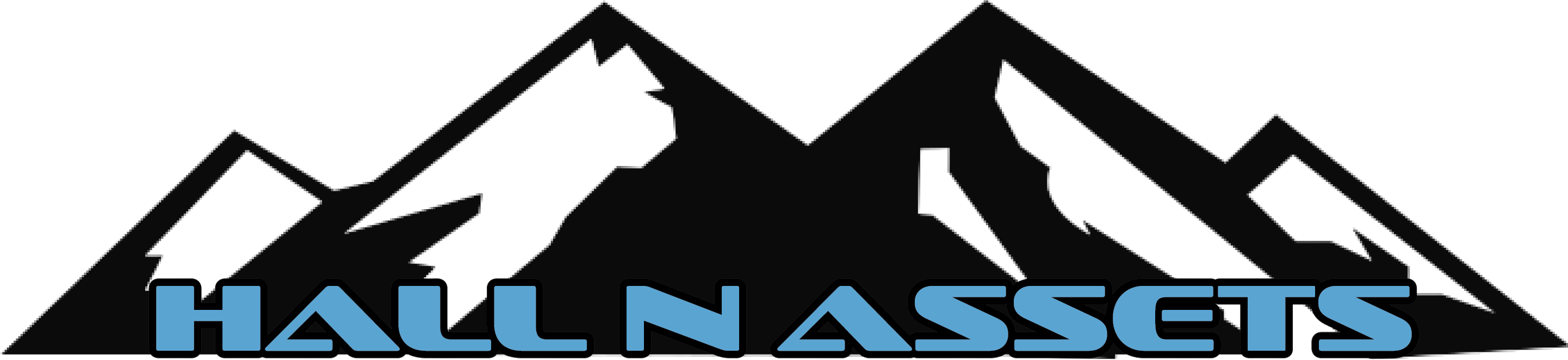 Hall N Assets LLC logo